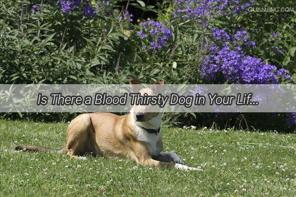 Is There a Blood Thirsty Dog in Your Life Discover If Cooked Duck Blood Is Safe for Your Furry Friend